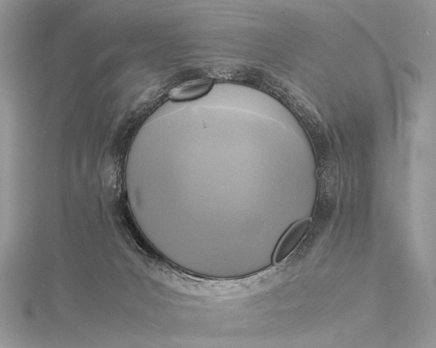 X0000115510031200911201647