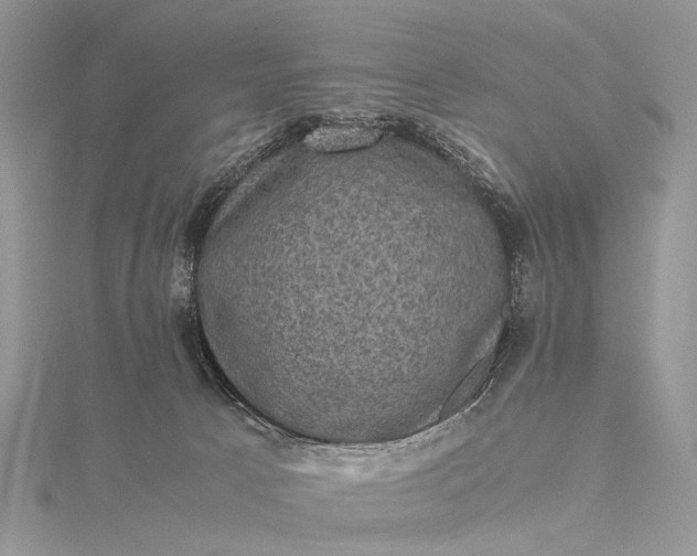 X0000115510033200911201647