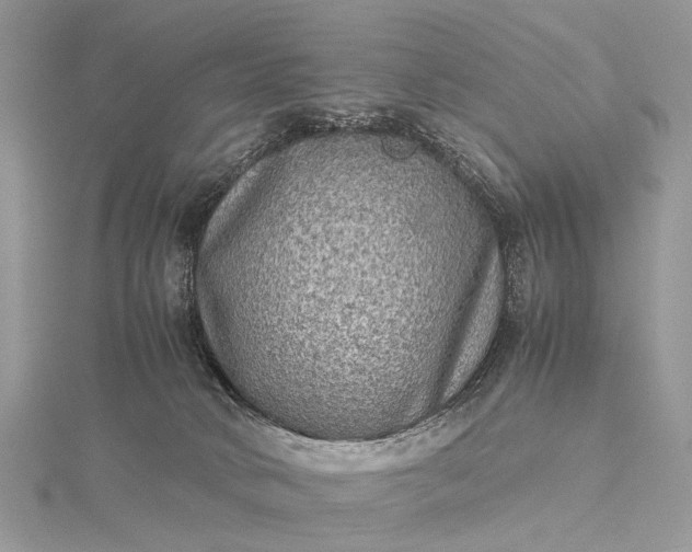 X0000115510034200911201647