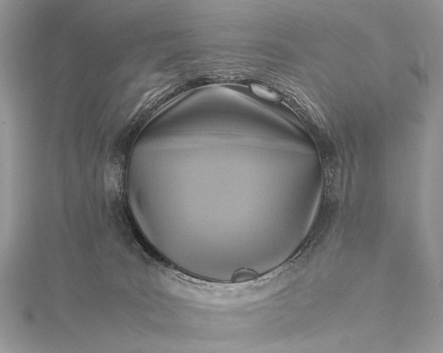 X0000115510035200911201647