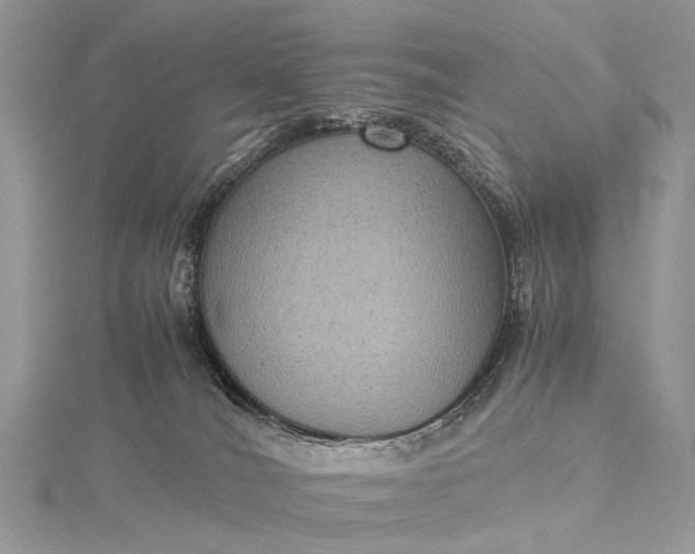 X0000115510036200911201647