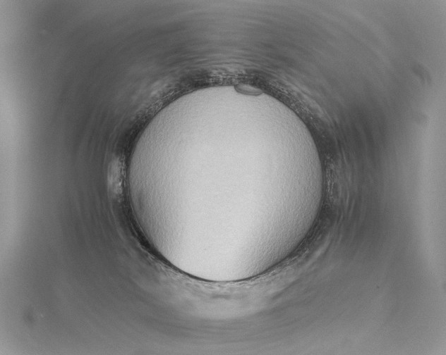 X0000115510038200911201647