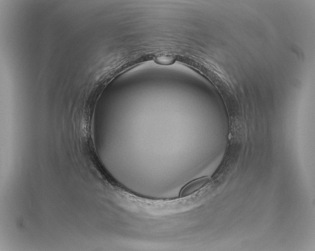 X0000115510039200911201647