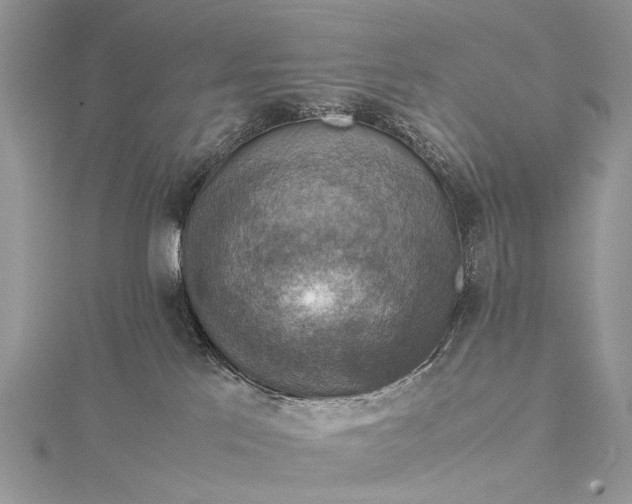 X0000115510041200911201647