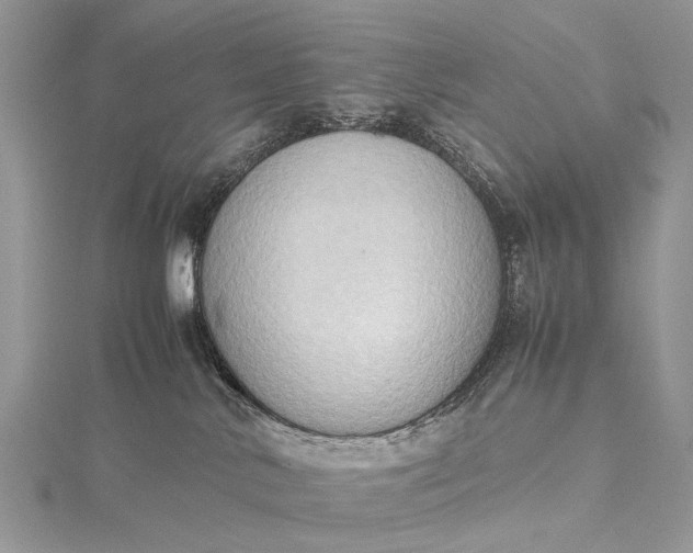 X0000115510042200911201647