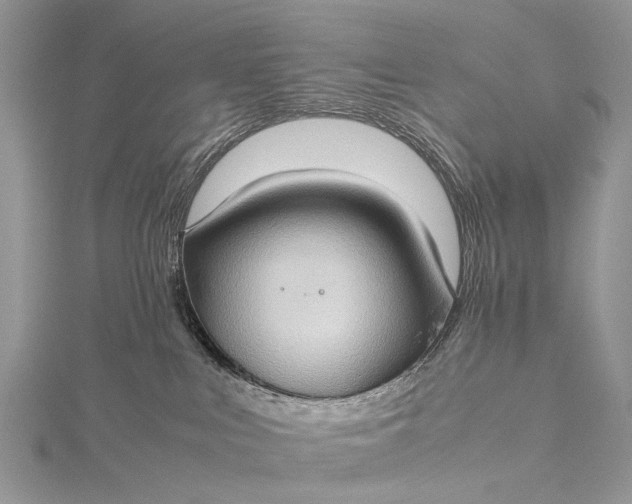 X0000115510043200911201647