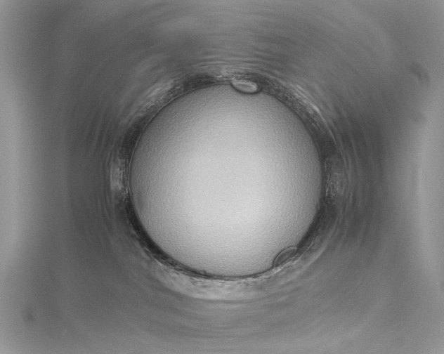 X0000115510044200911201647