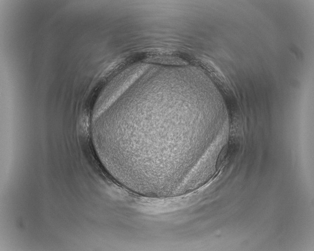 X0000115510045200911201647