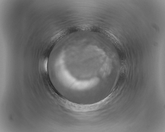 X0000115510047200911201647