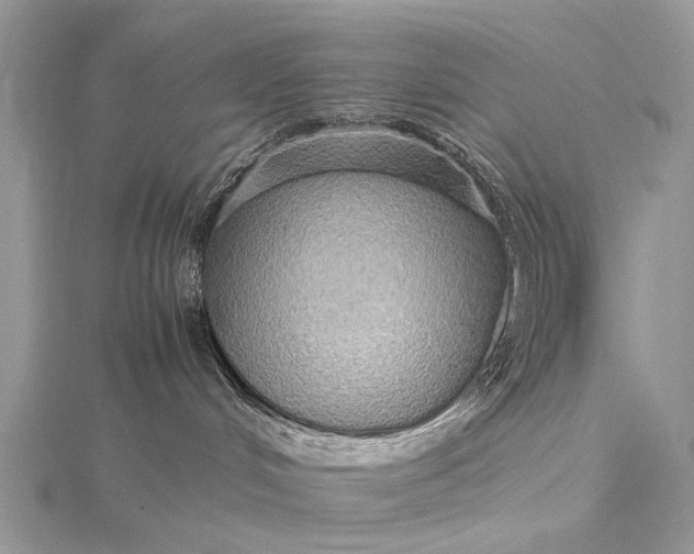 X0000115510048200911201647