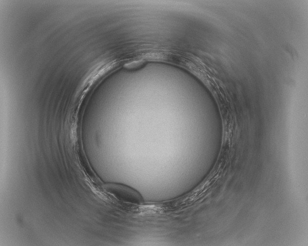 X0000115510050200911201647