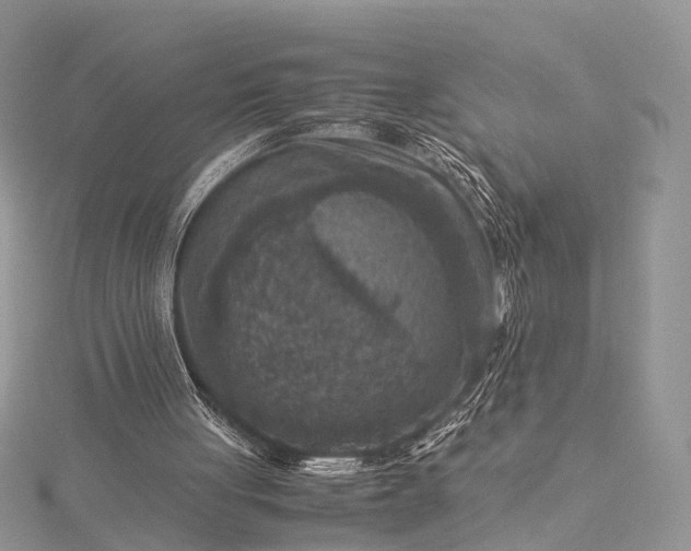 X0000115510051200911201647