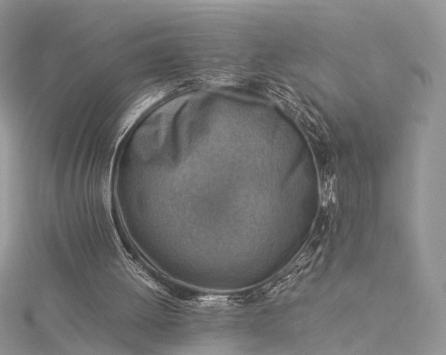 X0000115510052200911201647