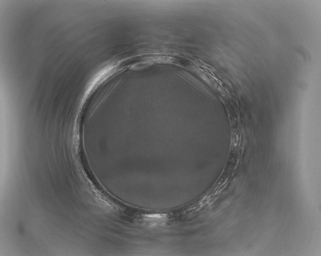 X0000115510053200911201647