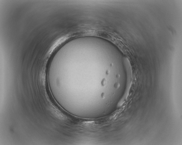 X0000115510054200911201647