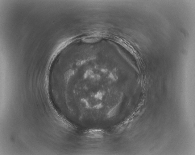 X0000115510055200911201647