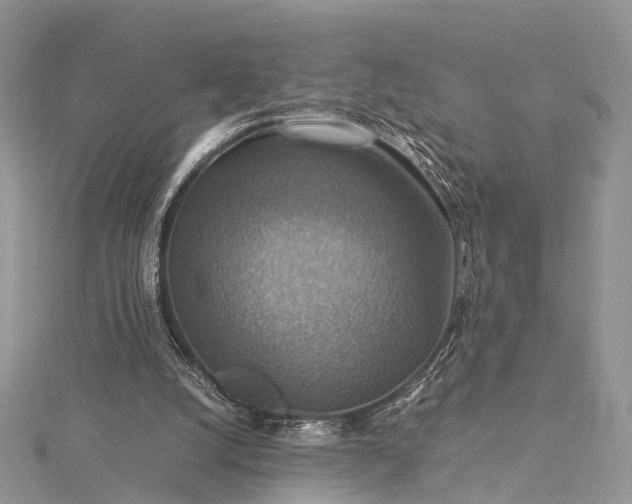 X0000115510056200911201647