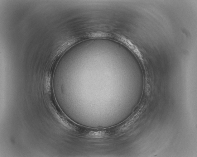 X0000115510057200911201647