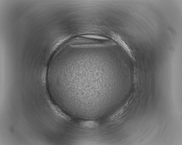 X0000115510058200911201647