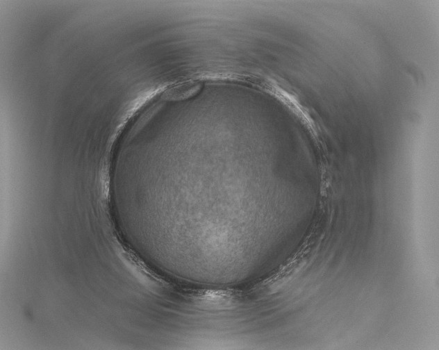 X0000115510060200911201647