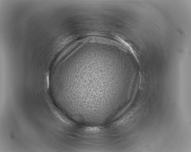 X0000115510061200911201647