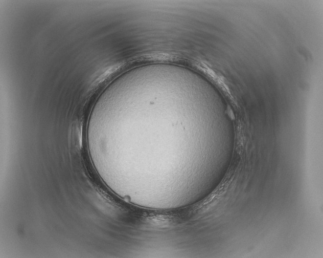 X0000115510062200911201647