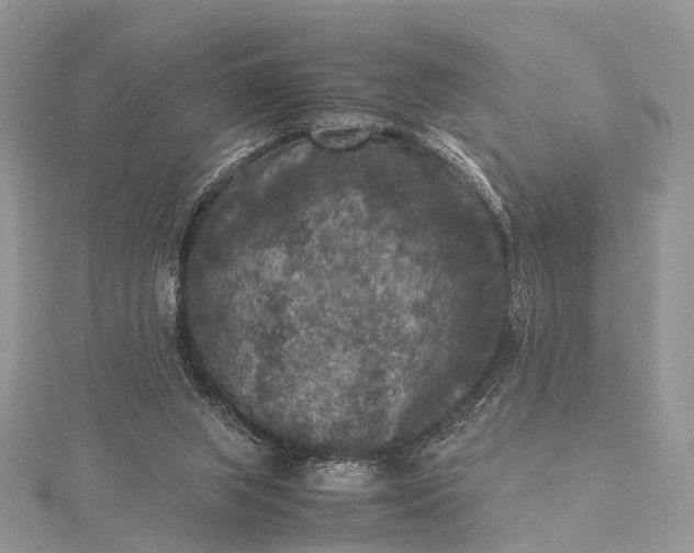 X0000115510063200911201647