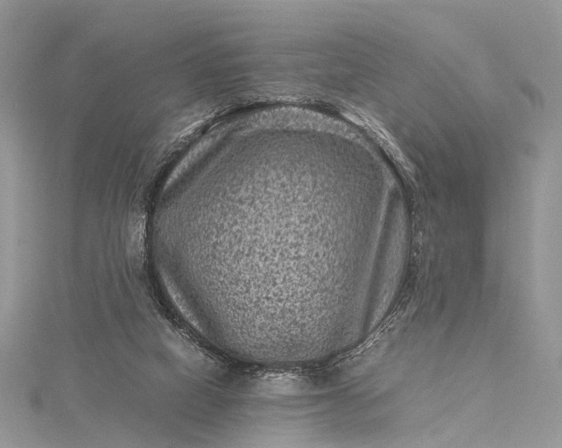 X0000115510066200911201647