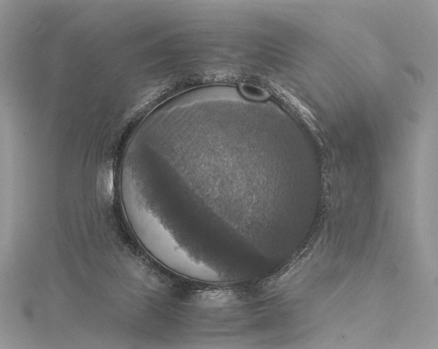 X0000115510067200911201647