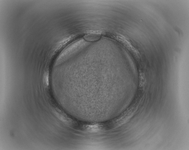 X0000115510068200911201647