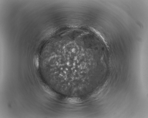 X0000115510069200911201647