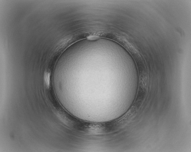 X0000115510070200911201647