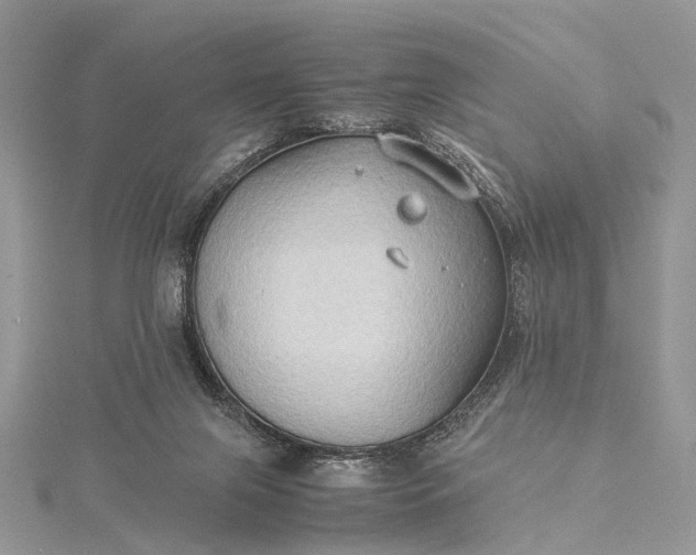 X0000115510071200911201647