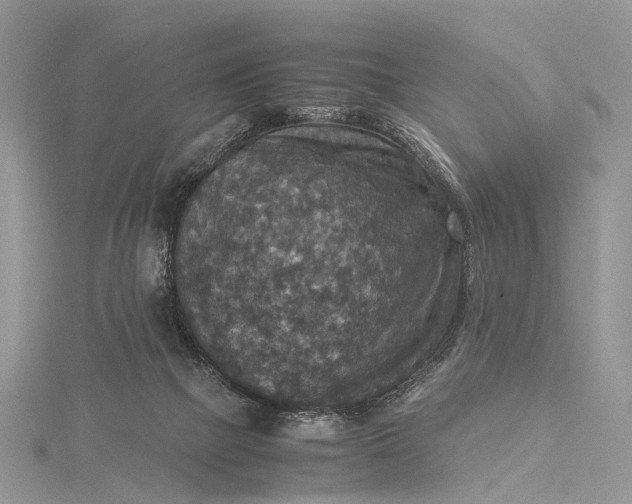 X0000115510073200911201647