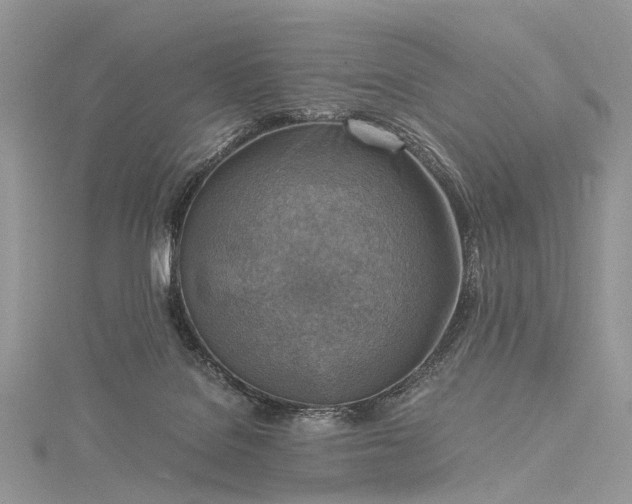 X0000115510076200911201647