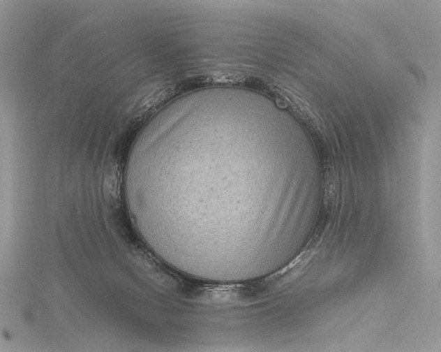 X0000115510078200911201647