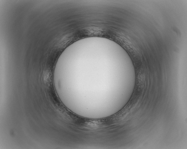 X0000115510079200911201647