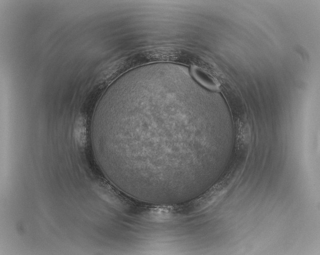 X0000115510080200911201647