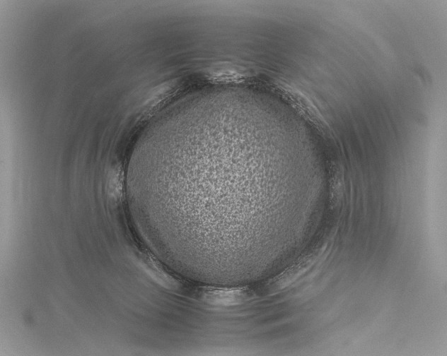 X0000115510081200911201647