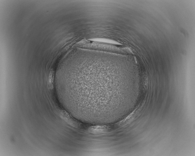 X0000115510082200911201647