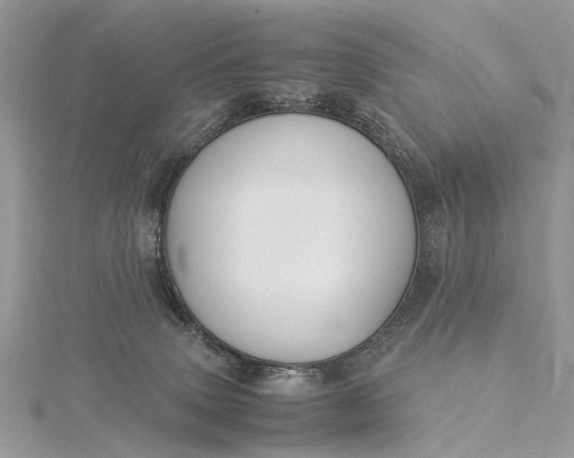 X0000115510083200911201647