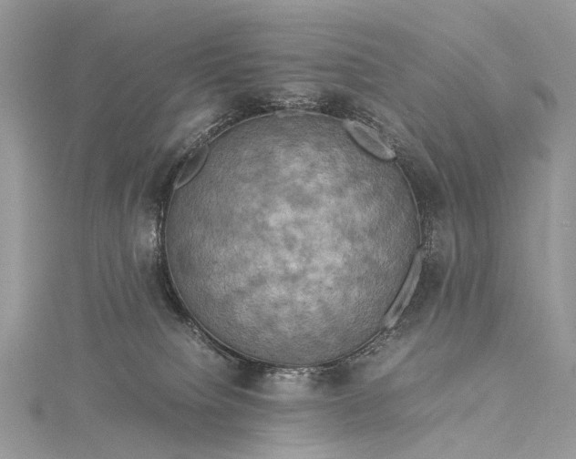 X0000115510084200911201647