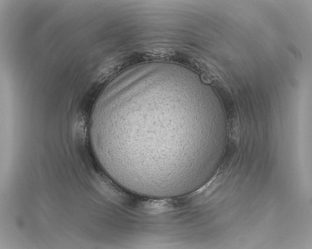 X0000115510086200911201647