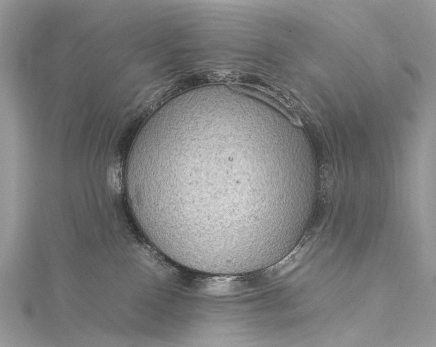 X0000115510090200911201647