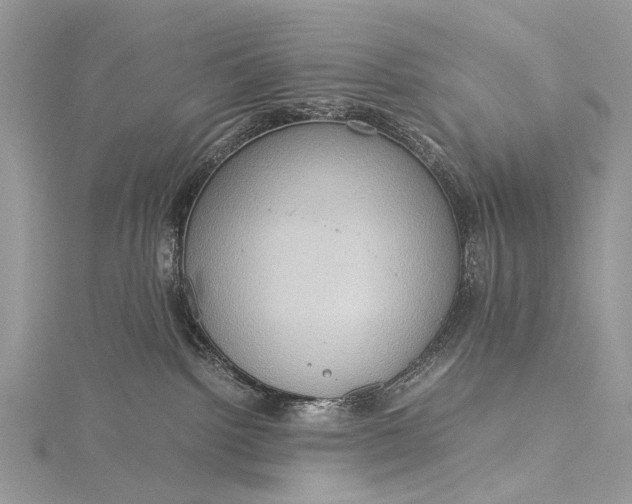 X0000115510092200911201647