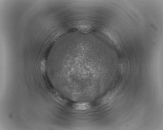 X0000115510093200911201647