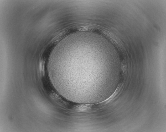 X0000115510094200911201647