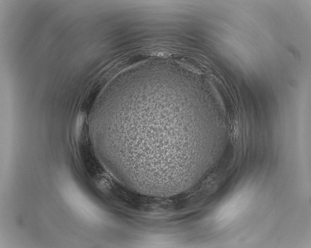 X0000115510095200911201647