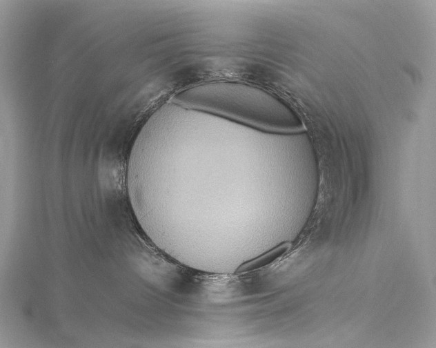 X0000115510096200911201647