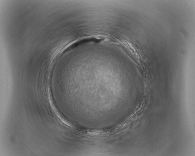 X0000115510097200911201647